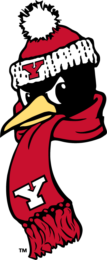 Youngstown State Penguins 2018-Pres Secondary Logo v5 diy iron on heat transfer